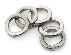 Inconel 600 Spring Washer